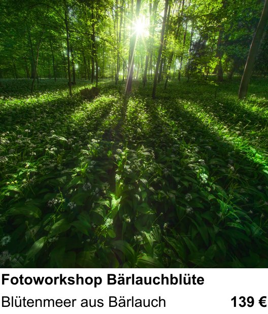 Dokumentarischer Fotokurs für Aufnahmen zu Fotoworkshop Bärlauchblüte: Blütenmeer aus Bärlauch