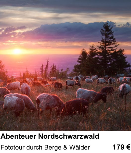 Dokumentarischer Fotokurs für Aufnahmen zu Abenteuer Nordschwarzwald: Fototour durch Berge & Wälder