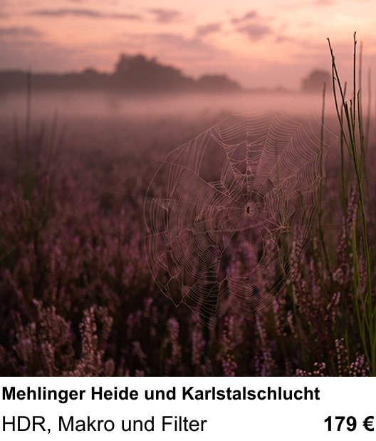 Dokumentarischer Fotokurs für Aufnahmen zu Mehlinger Heide und Karlstalschlucht: HDR, Makro und Filter