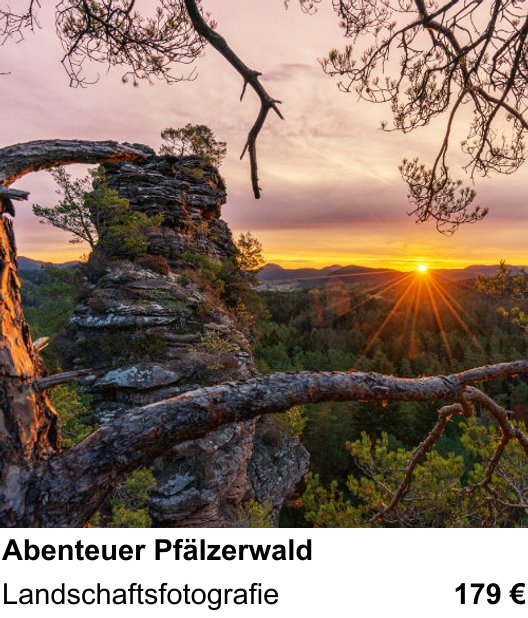 Dokumentarischer Fotokurs für Aufnahmen zu Abenteuer Pfälzerwald: Landschaftsfotografie