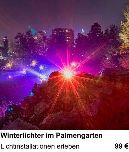 Dokumentarischer Fotokurs für Aufnahmen zu Winterlichter im Palmengarten: Lichtinstallationen erleben