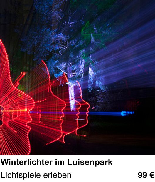 Dokumentarischer Fotokurs für Aufnahmen zu Winterlichter im Luisenpark: Lichtspiele erleben