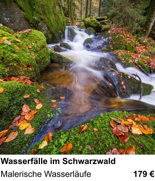 Dokumentarischer Fotokurs für Aufnahmen zu Wasserfälle im Schwarzwald: Malerische Wasserläufe