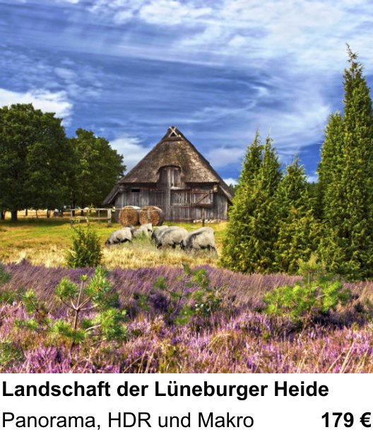 Dokumentarischer Fotokurs für Aufnahmen zu Landschaft der Lüneburger Heide: Panorama, HDR und Makro