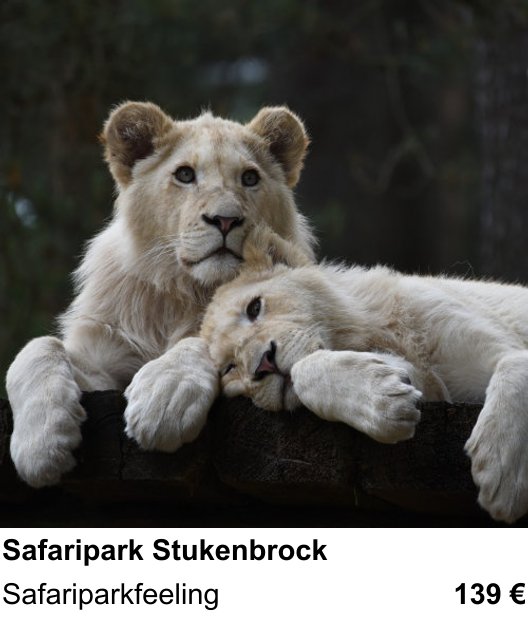 Dokumentarischer Fotokurs für Aufnahmen zu Safaripark Stukenbrock: Safariparkfeeling