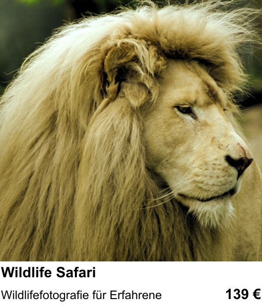 Hannover fotografisch entdecken: Wildlife Safari – Wildlifefotografie für Erfahrene